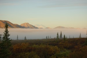 Alaska 2007 715