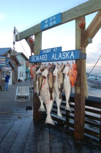 Alaska 2007 747