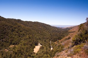 Big Sur State Park-14