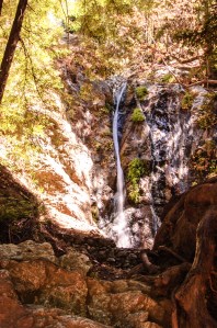 Big Sur State Park-7