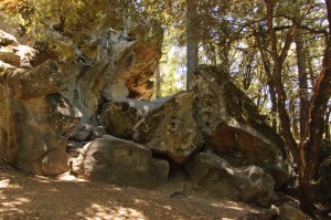 Castle Rock State Park (13 of 13)