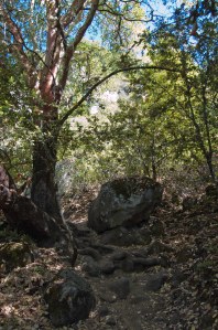Castle Rock State Park (4 of 13)