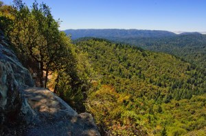 Castle Rock State Park (9 of 13)