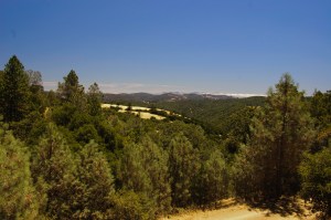 Henry Coe State Park (1 of 15)