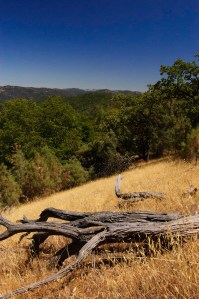 Henry Coe State Park (12 of 15)