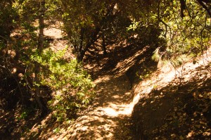 Henry Coe State Park (14 of 15)