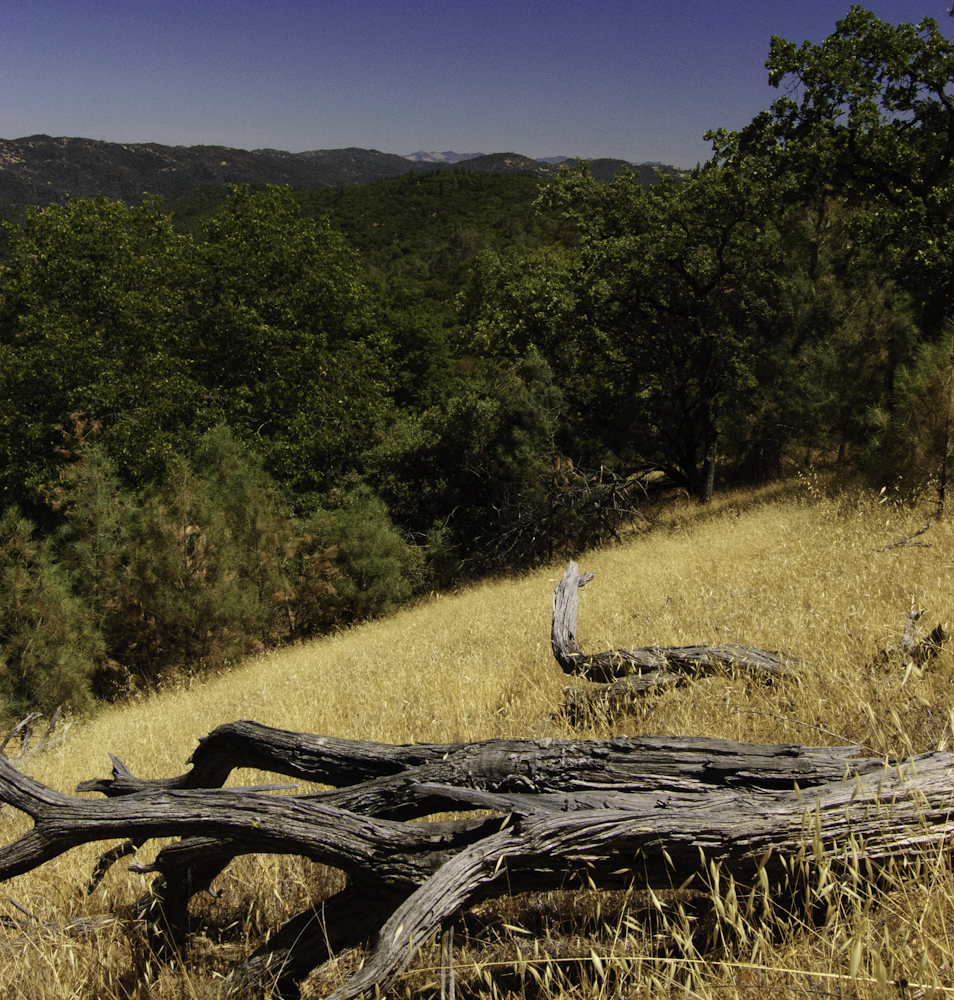 Henry Coe State Park (16 of 1)