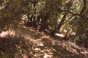 Henry Coe State Park (3 of 15)