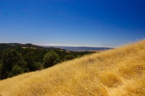 Henry Coe State Park (4 of 15)