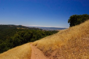 Henry Coe State Park (5 of 15)