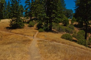 Henry Coe State Park (6 of 15)
