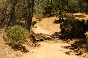 Henry Coe State Park (8 of 15)