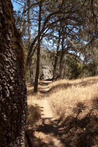 Henry Coe State Park (9 of 15)