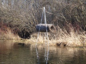 Island Lake Paddle 20120313 (30 of 50)