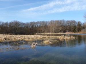 Island Lake Paddle 20120313 (4 of 50)