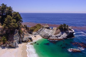 McWay Waterfall Trail-7