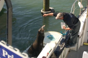 California 2008 (10)