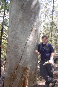 California 2008 (111)