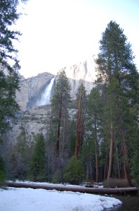 California 2008 (128)