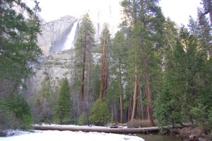 California 2008 (130)