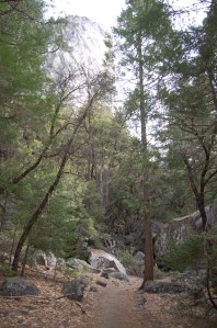 California 2008 (177)