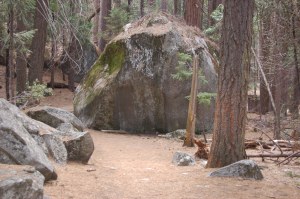 California 2008 (187)