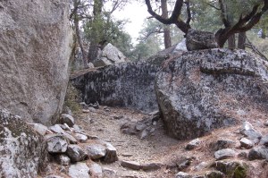 California 2008 (188)