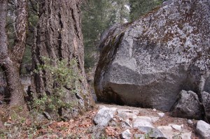 California 2008 (191)