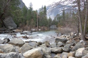 California 2008 (215)