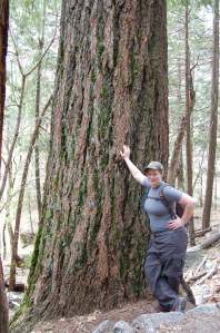 California 2008 (234)