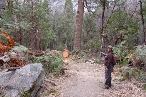 California 2008 (255)