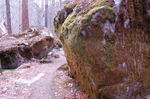 California 2008 (259)