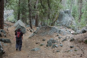 California 2008 (265)