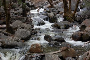 California 2008 (271)