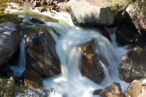 California 2008 (309)