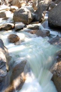 California 2008 (333)