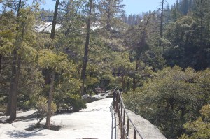 California 2008 (379)