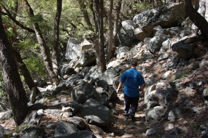 California 2008 (507)