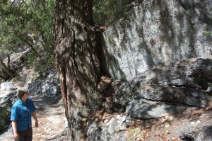 California 2008 (528)