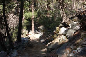 California 2008 (532)