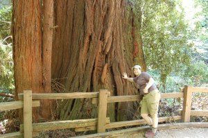 California 2008 (541)