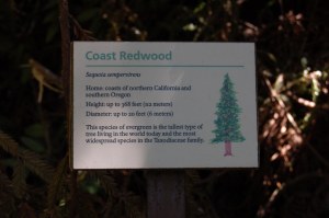 California 2008 (542)