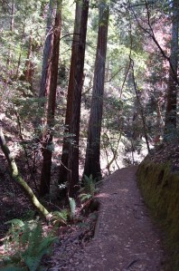 California 2008 (587)