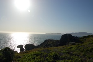 California 2008 (609)