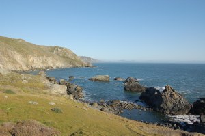 California 2008 (616)