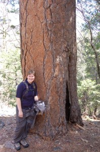 California 2008 (98)