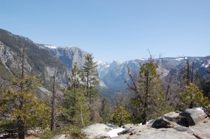 California 2008 (99)