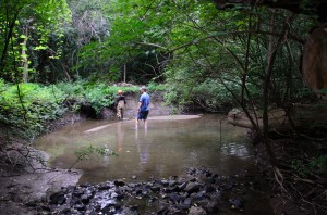 HRWC Swift Run Downstream Ealk-178
