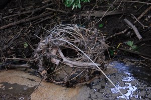 HRWC Swift Run Downstream Ealk-195