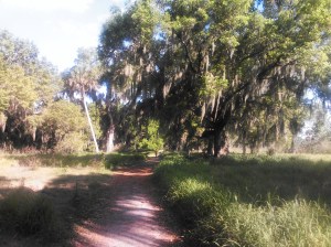 20140316 Download 390